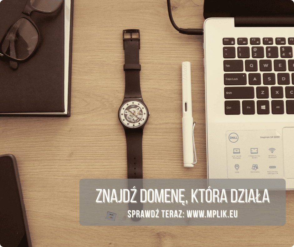 Zespół wsparcia domen